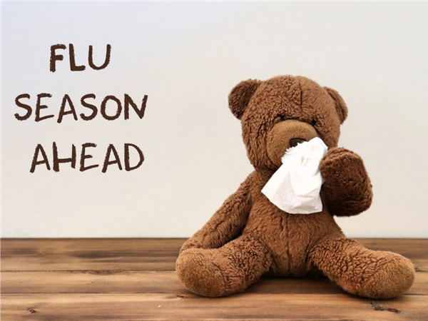 Flu Bear